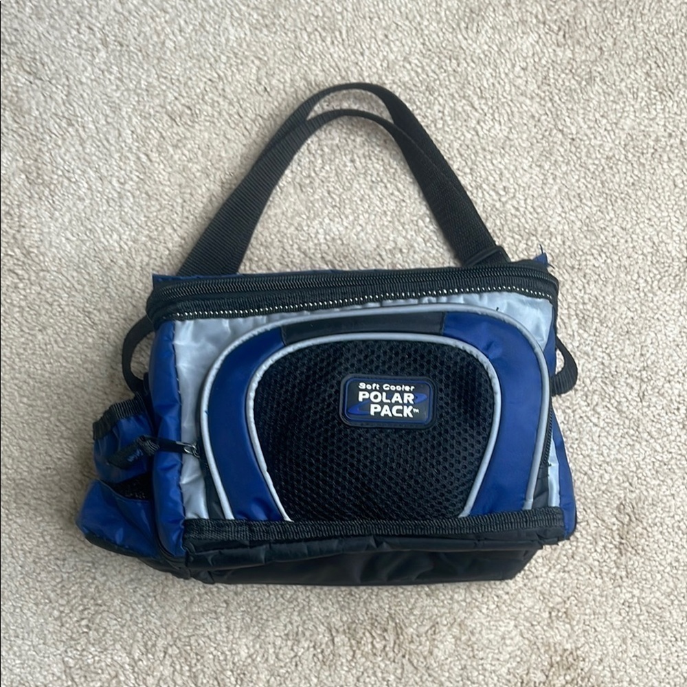 Sleek Blue and Black Insulated Lunch Tote